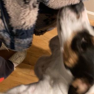 Meet your Posher, Salvatore